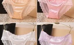 肉食教师食取报告4